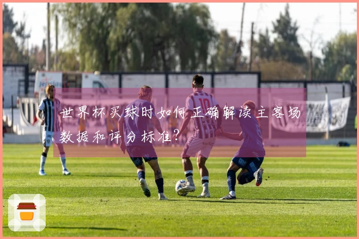 世界杯买球时如何正确解读主客场数据和评分标准？